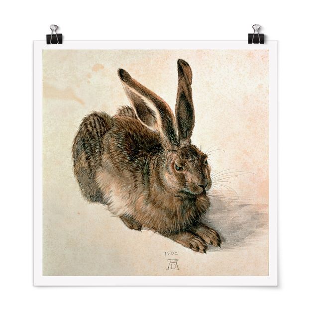 Poster - Albrecht Dürer - Young Hare