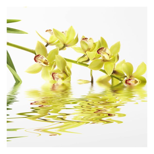 Glass Splashback - Elegant Orchid Waters - Square 1:1