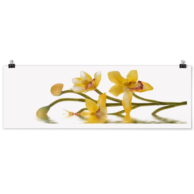 Poster - Saffron Orchid Waters