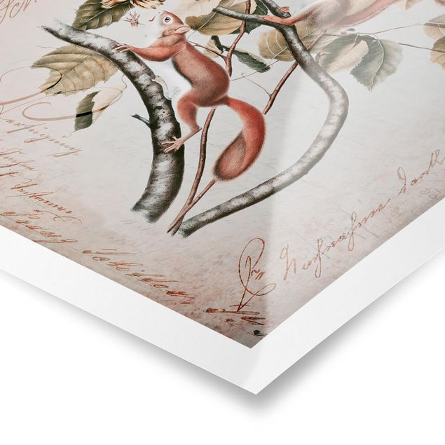 Poster - Shabby Chic Collage - Squirrel