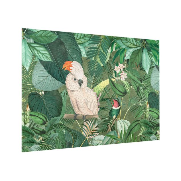 Glass splashback kitchen animals Vintage Collage - Cockatoo And Hummingbird