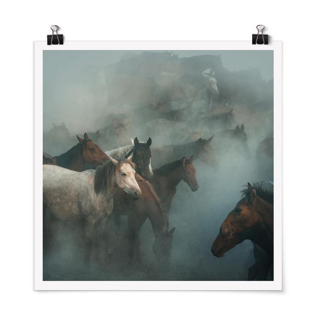 Poster - Wild Horses