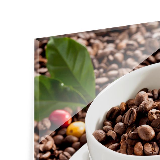 Glass Splashback - Coffee Cup With Roasted Coffee Beans - Square 1:1
