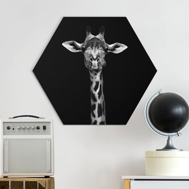 Alu-Dibond hexagon - Dark Giraffe Portrait
