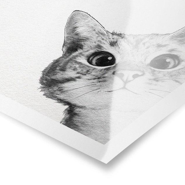 Poster - Illustration Cat Drawing Black And White