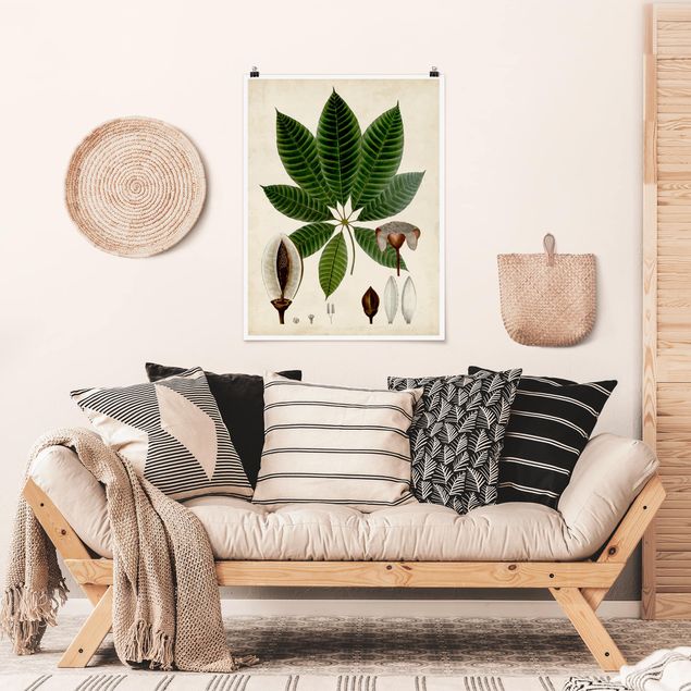 Poster flowers - Deciduous Poster VII