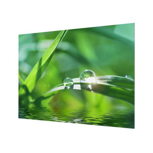 Glass Splashback - Green Ambiance II - Landscape 3:4