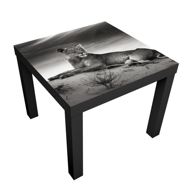 Adhesive film for furniture IKEA - Lack side table - Resting Lion