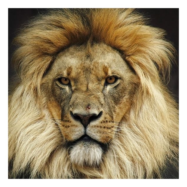 Adhesive film for furniture IKEA - Lack side table - Wisdom Of Lion
