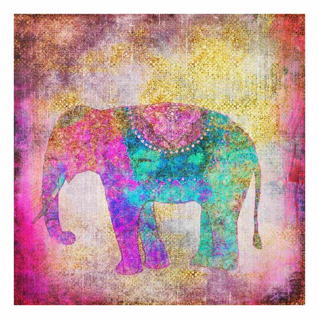 Print on forex - Colourful Collage - Indian Elephant