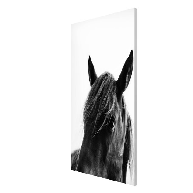 Magnetic memo board - Curious Horse