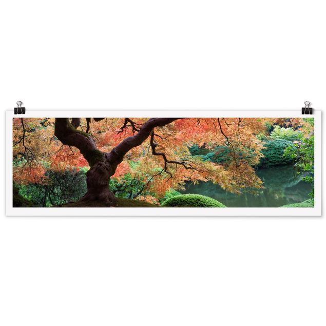 Panoramic poster forest - Japanese Garden
