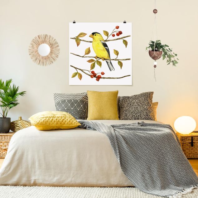 Poster - Birds And Berries - American Goldfinch