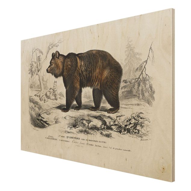 Print on wood - Vintage Board Brown Bear