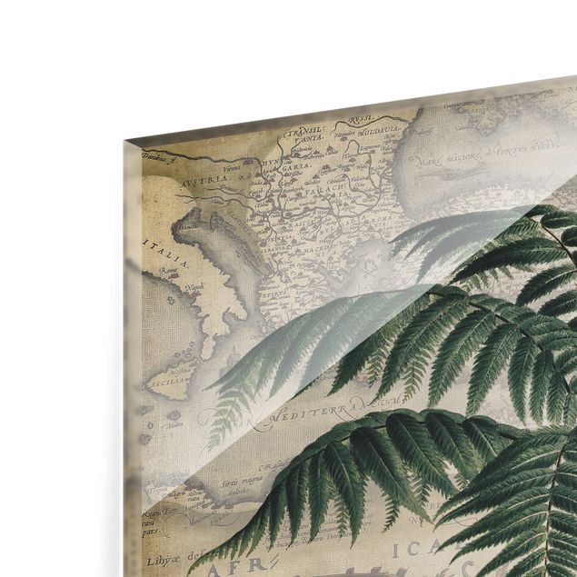 Glass Splashback - Vintage Collage - Palm And World Map - Landscape 3:4