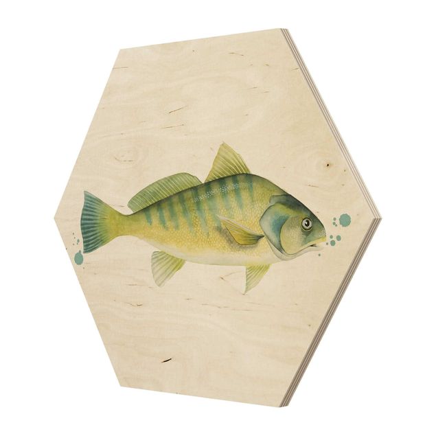 Wooden hexagon - Color Catch - Perch