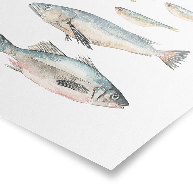 Poster kitchen - Seven Fish In Watercolour II