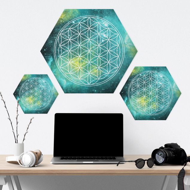Forex hexagon - Flower Of Life In Starlight