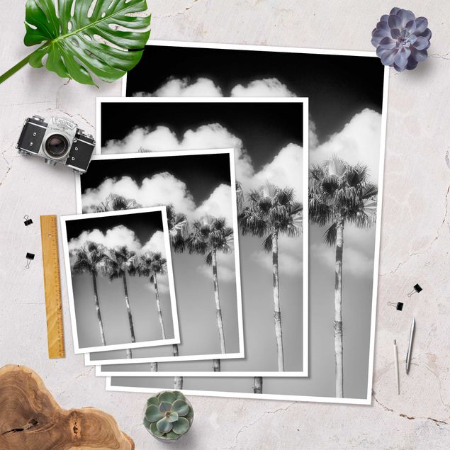 Poster - Palm Trees Against The Sky Black And White