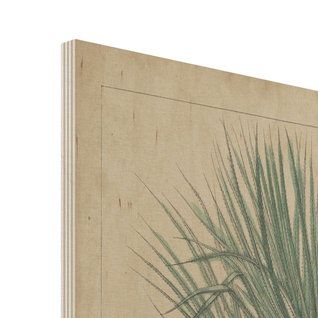 Print on wood - Vintage Board Exotic Palms I