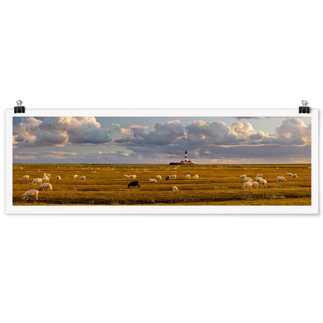 Panoramic poster animals - North Sea Lighthouse With Flock Of Sheep