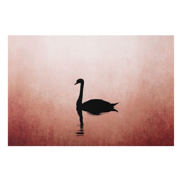 Print on forex - Swan In Sunset