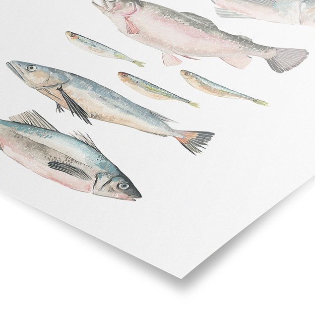 Poster - Seven Fish In Watercolour II