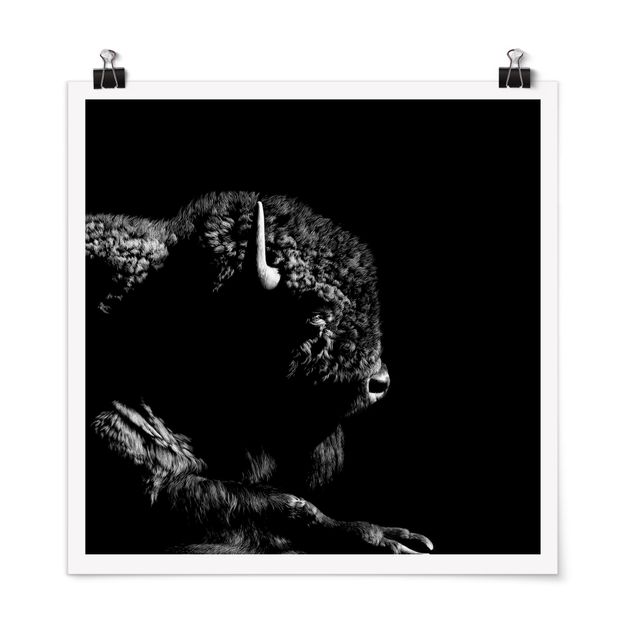 Poster - Bison In The Dark