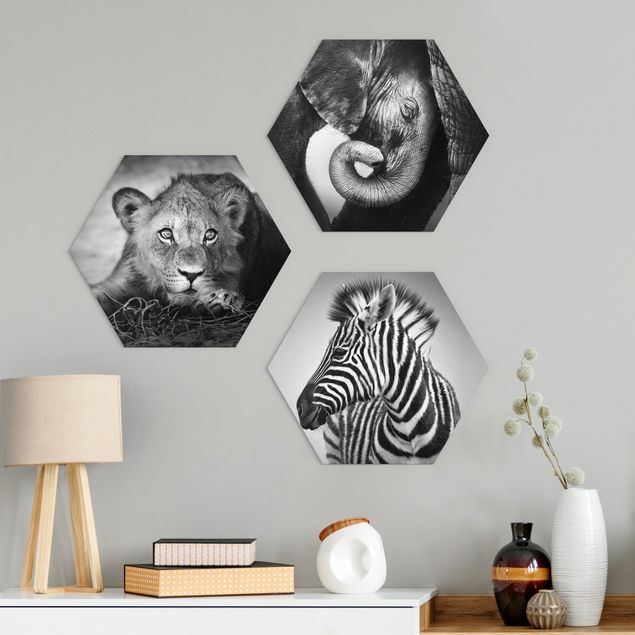 Alu-Dibond hexagon - Baby Animals