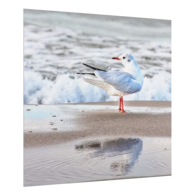 Glass splashback kitchen beach Seagull On The Beach In Front Of The Sea