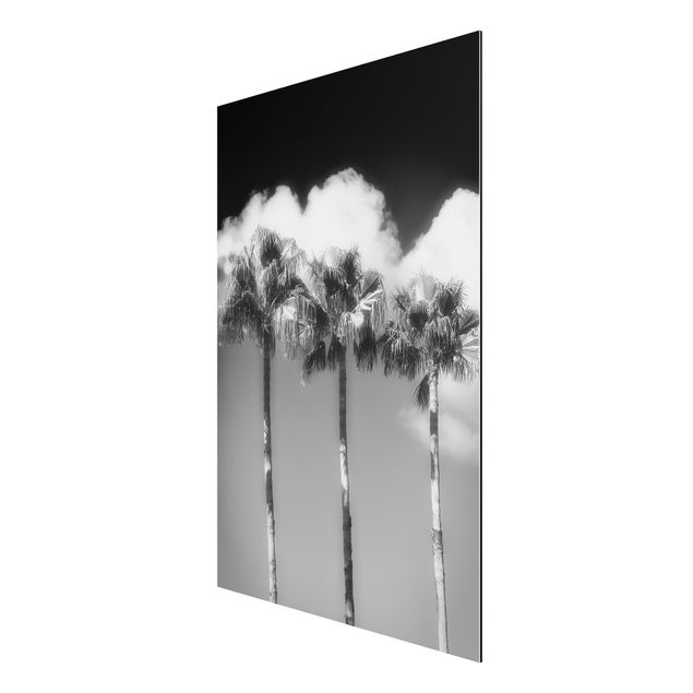 Print on aluminium - Palm Trees Against The Sky Black And White