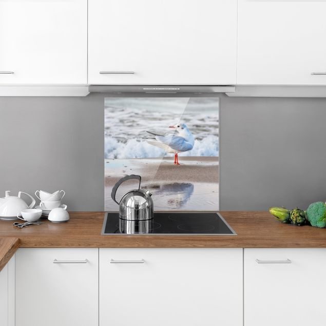 Glass splashback kitchen landscape Seagull On The Beach In Front Of The Sea