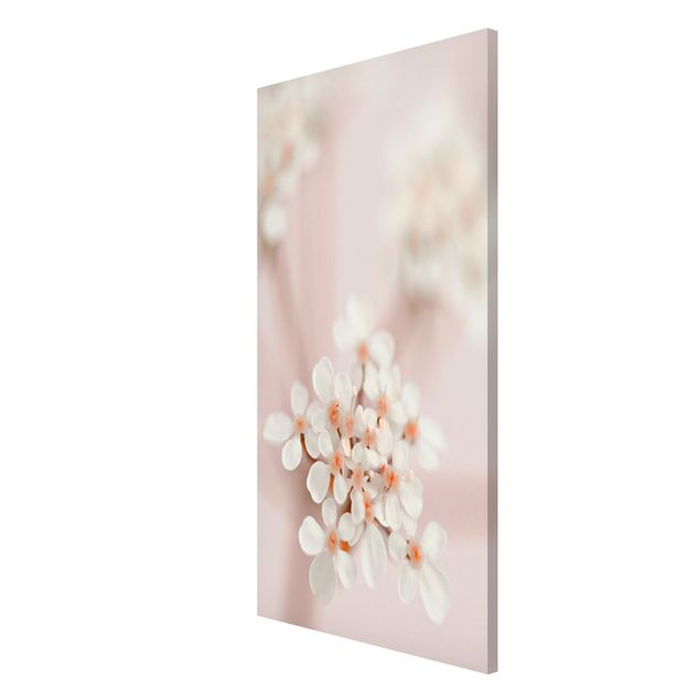 Magnetic memo board - Mini Flowers In Pink Light