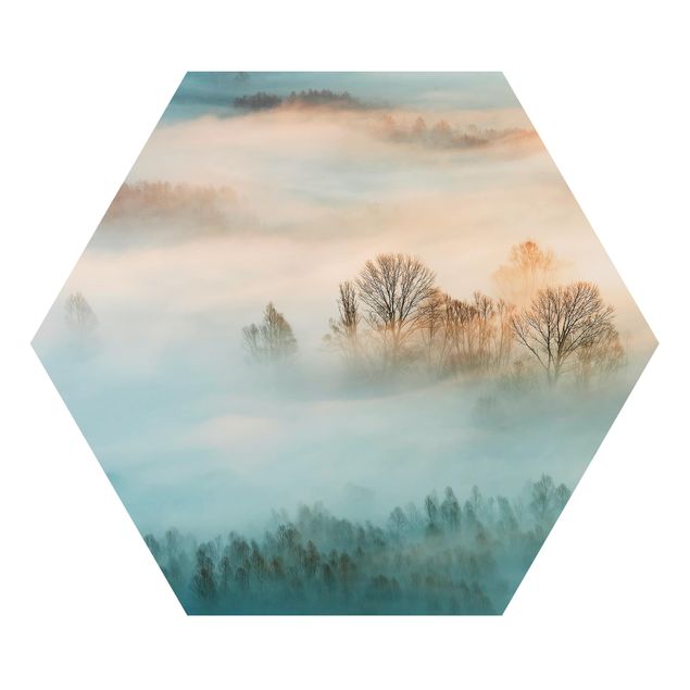 Alu-Dibond hexagon - Fog At Sunrise