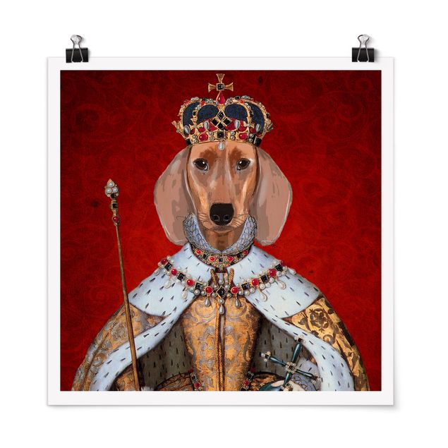 Poster - Animal Portrait - Dachshund Queen