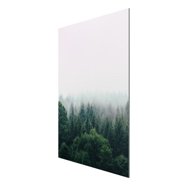 Print on aluminium - Foggy Forest Twilight