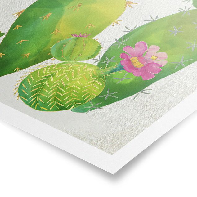 Poster flowers - Cactus Family In Pink And Yellow