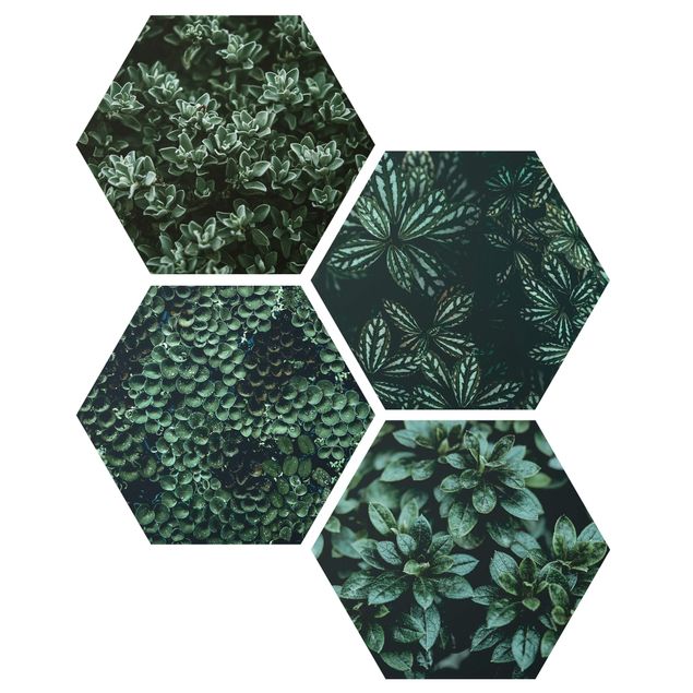 Forex hexagon - Green Leaves Set I