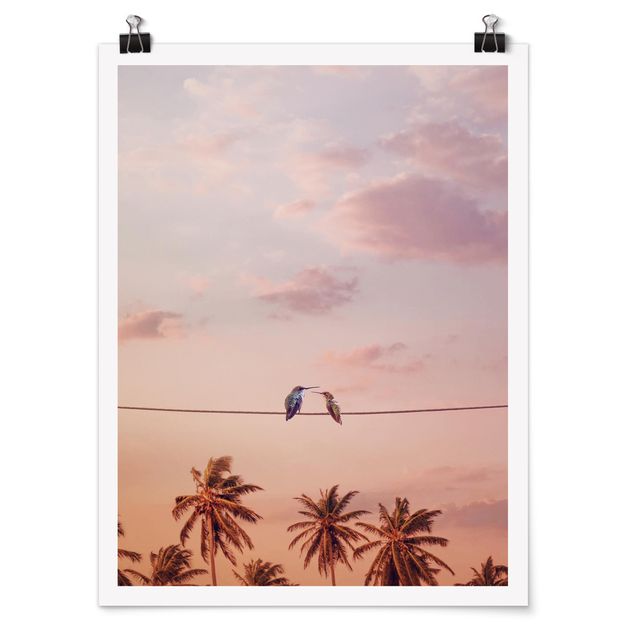 Poster animals - Sunset With Hummingbird