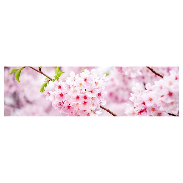 Kitchen wall cladding - Japanese Cherry Blossoms