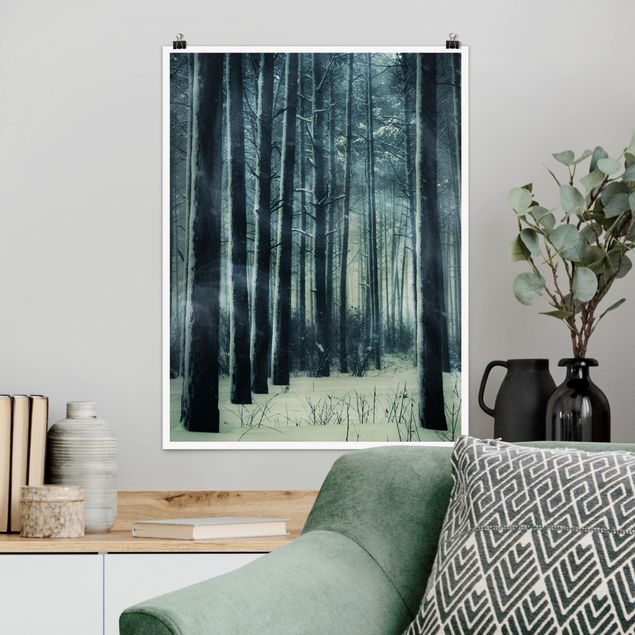 Poster forest - Mystical Winter Forest