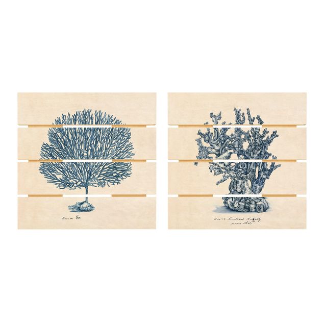 Print on wood - Sea Corals Study Set I