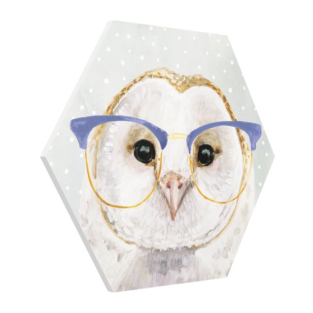 Forex hexagon - Animals With Glasses - Owl