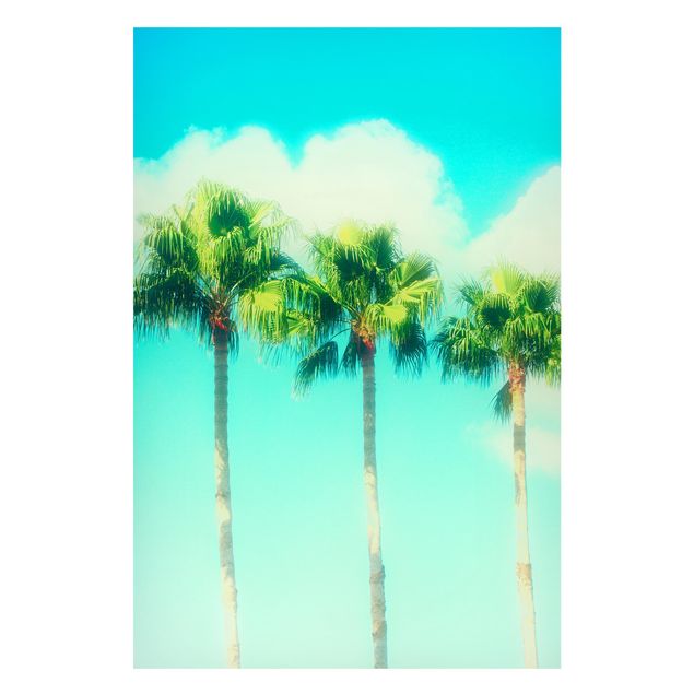 Magnetic memo board - Palm Trees Against Blue Sky