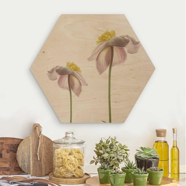 Wooden hexagon - Pink Anemone Blossoms