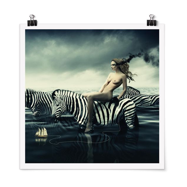 Poster - Woman Posing With Zebras