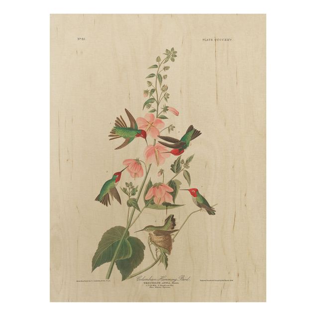 Print on wood - Vintage Board Colombian Hummingbird