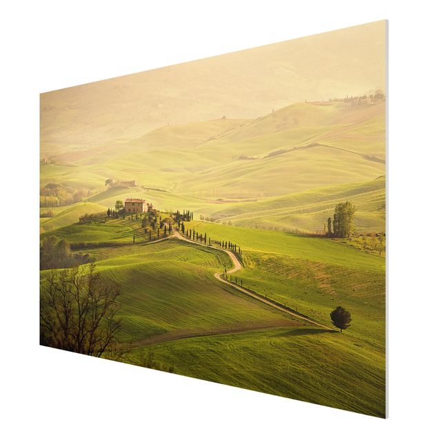 Forex print - Chianti Tuscany