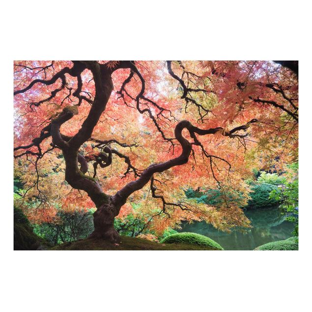 Forex print - Japanese Garden