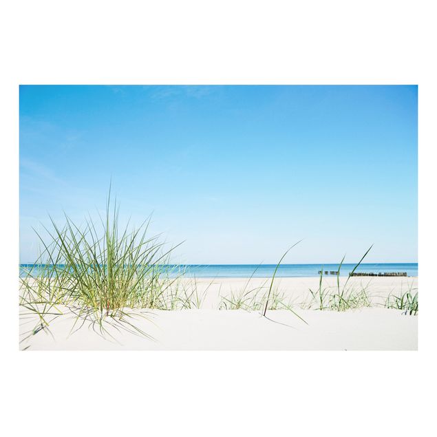 Forex print - Baltic Sea Coast